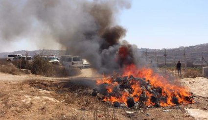 امحاء مواد مخدر در الخلیل + تصاویر