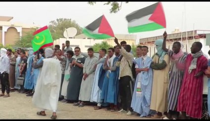 تأسياً بالحراک الطلابي العالمي؛ جامعات موريتانيا تنتصر لغزة