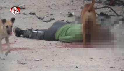 جيش الاحتلال ينتقم من جثامين الشهداء ويتركها للكلاب 