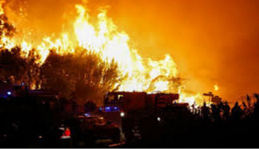آتش سوزی گسترده در جنگل های پرتغال و فرانسه

