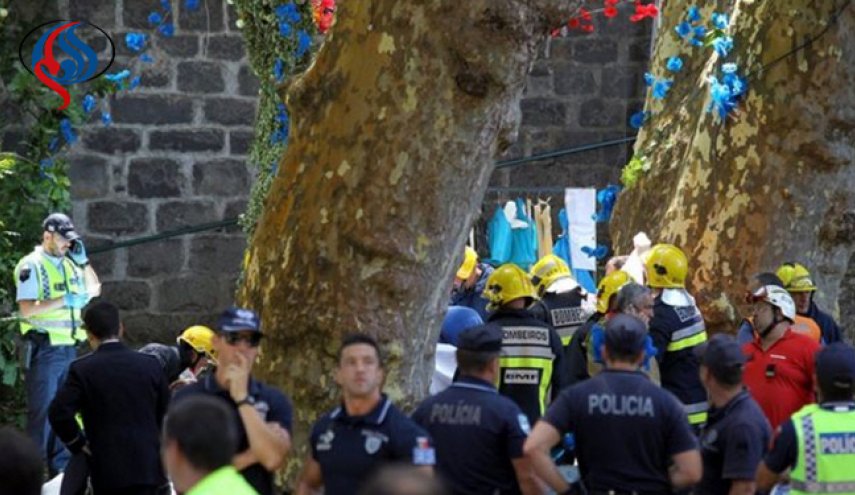 تصاویر؛ مرگ 11 نفر بر اثر سقوط یک درخت!

