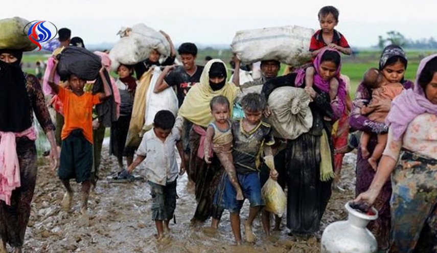 آمار خیره کننده از مهاجرت مسلمانان روهینگیایی به بنگلادش