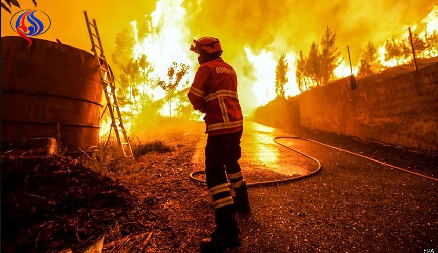 رقم قياسي في اندلاع الحرائق في غابات البرتغال