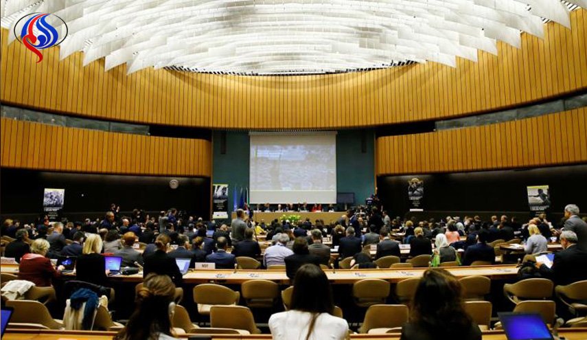 الأمم المتحدة تجمع 340 مليون دولار للروهينغا