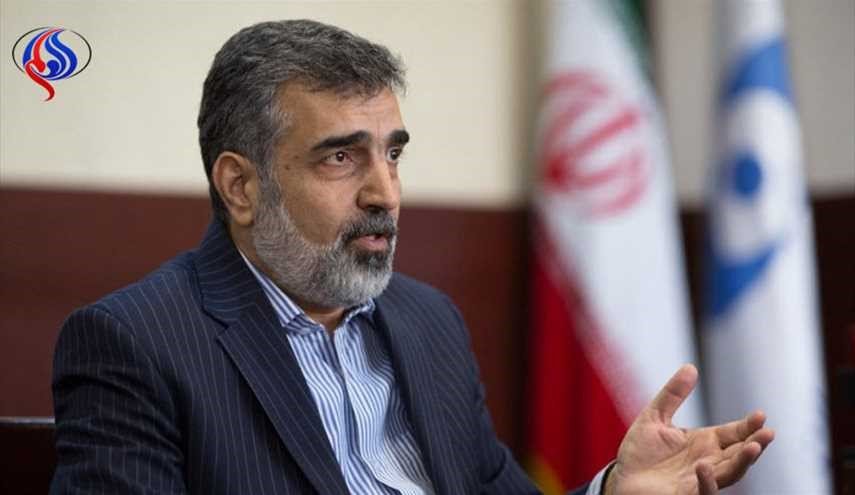 ايران تدعو الوكالة الذرية لاداء مهامها دون الرضوخ لضغوط سياسية