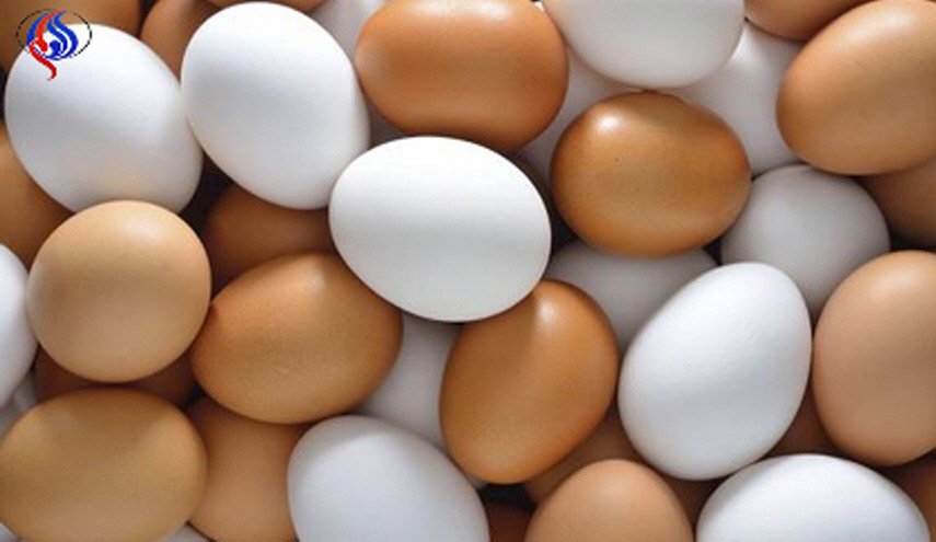 هل البيض البني اغلى من البيض الابيض لانه اكثر فائدة؟ 
