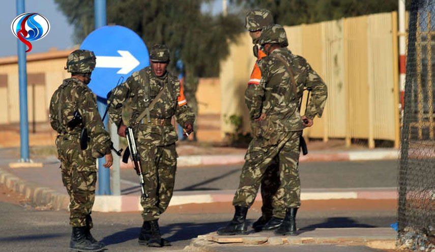 الجزائر... إرهابي و4 مسلحين في قبضة الجيش