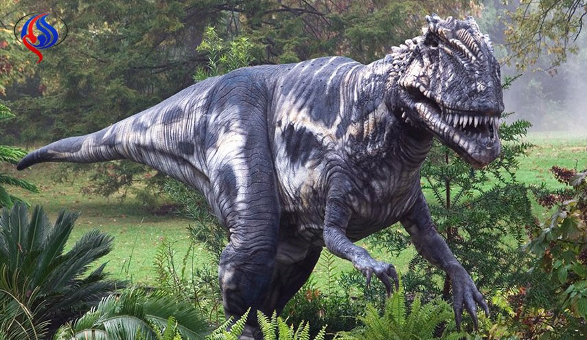 بالصور ..لحظة اكتشاف موقع كبير لأحافير الديناصورات جنوب غربي الصين