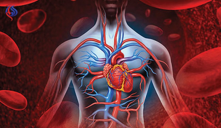 الهلام الطبي يساعد على إعادة إنماء عضلة القلب
