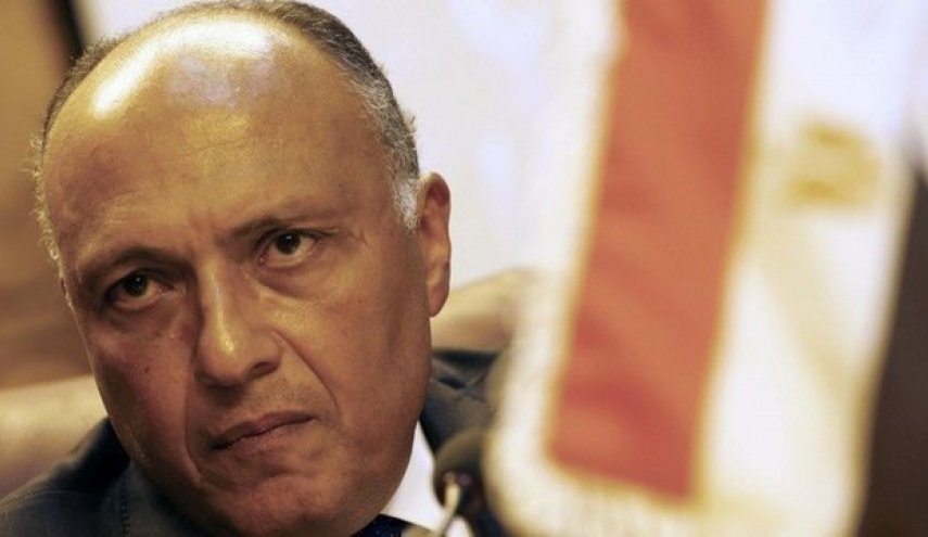 وزیر خارجه مصر: قاهره به دنبال تشکیل ائتلاف برای مبارزه با تروریسم نیست