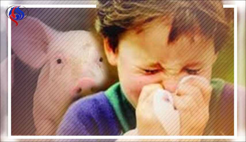 وفاة خمسة أشخاص بإنفلونزا الخنازير بتونس