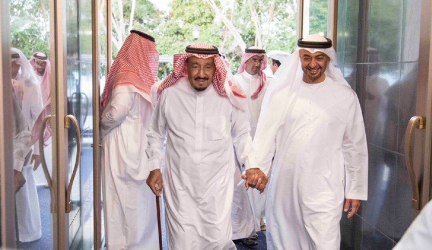 مجتهد: مهمات مثيرة للجنة السعودية الإماراتية المشتركة