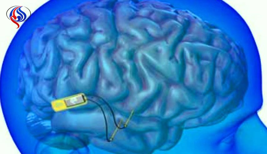 متى يتوقف الدماغ عن إنتاج خلايا الذاكرة؟!