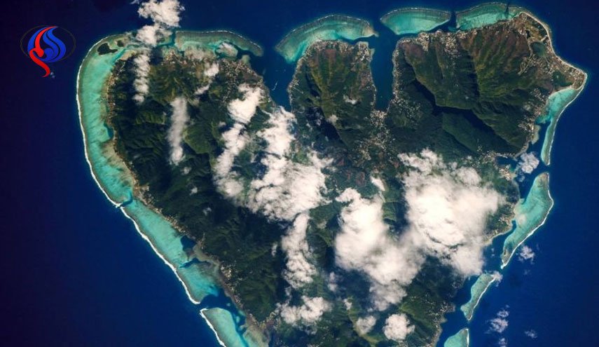 کوچکترین جزیره جهان فقط برای یک خانه جا دارد +عکس