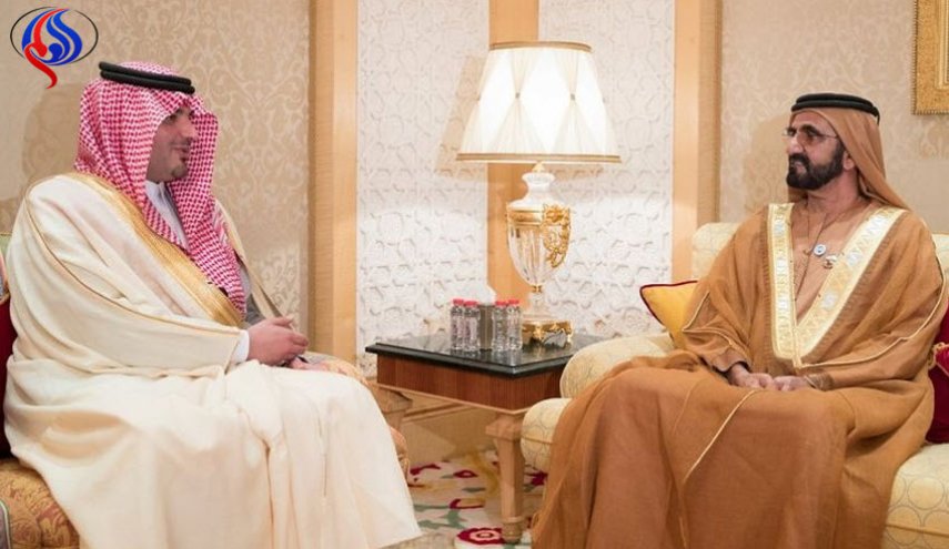 ماذا دار خلال استقبال نائب رئيس الإمارات لوزير داخلية السعودية؟