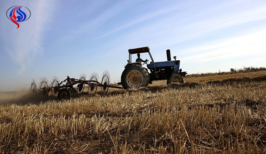 العراق يتوقع ارتفاع واردات الحبوب في 2018 بسبب الجفاف
