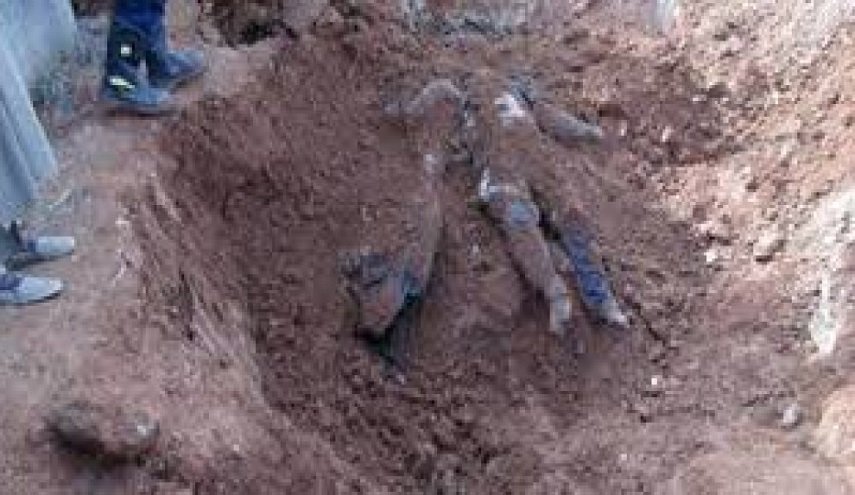 العثور على مقبرة جماعية تضم عشرات المدنين والعسكريين في ريف الرقة