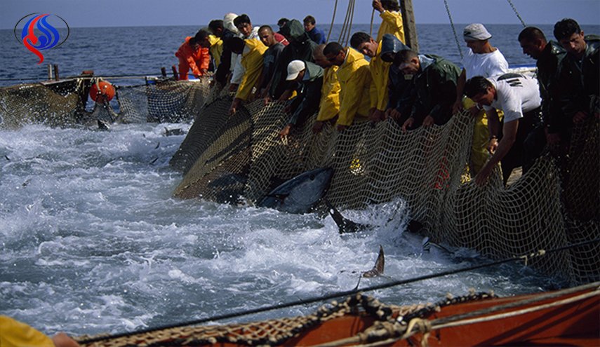 المغرب على استعداد للتفاوض لتجديد اتفاق الصيد مع الاتحاد الأوروبي
