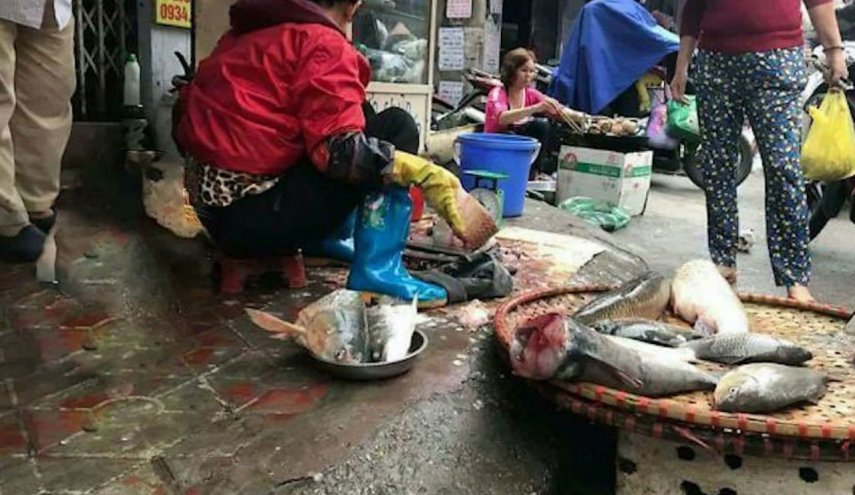 يخطف الأنظار يبيع السمك في الشوارع!... من هو؟!
