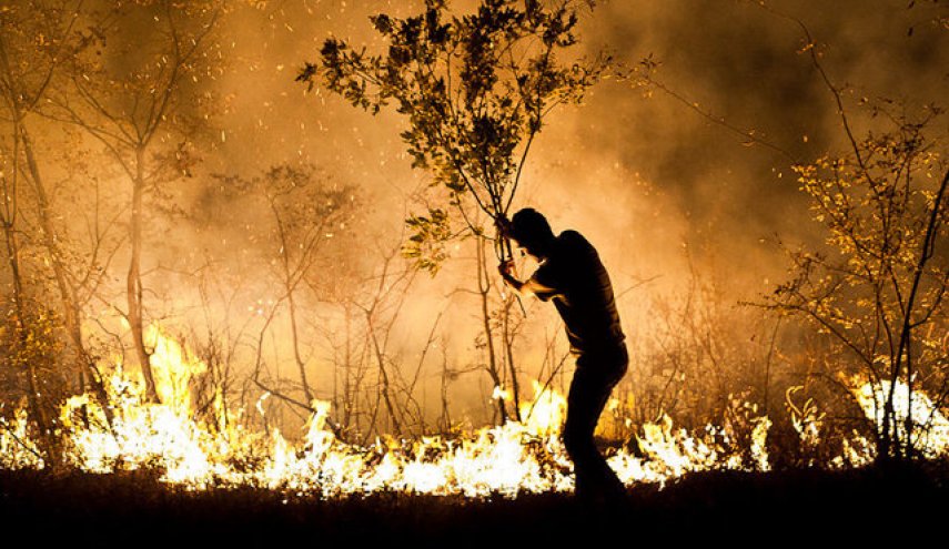تازه ترین جزئیات از آتش سوزی در جنگل های گیلان