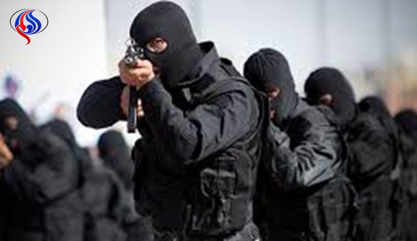 تفكيك 12 عصابة لتهريب الاسلحة في كردستان إيران