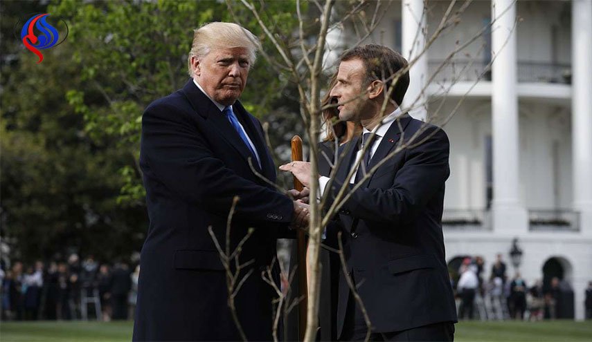 كيف اختفت شجرة ترامب-ماكرون من البيت الأبيض؟