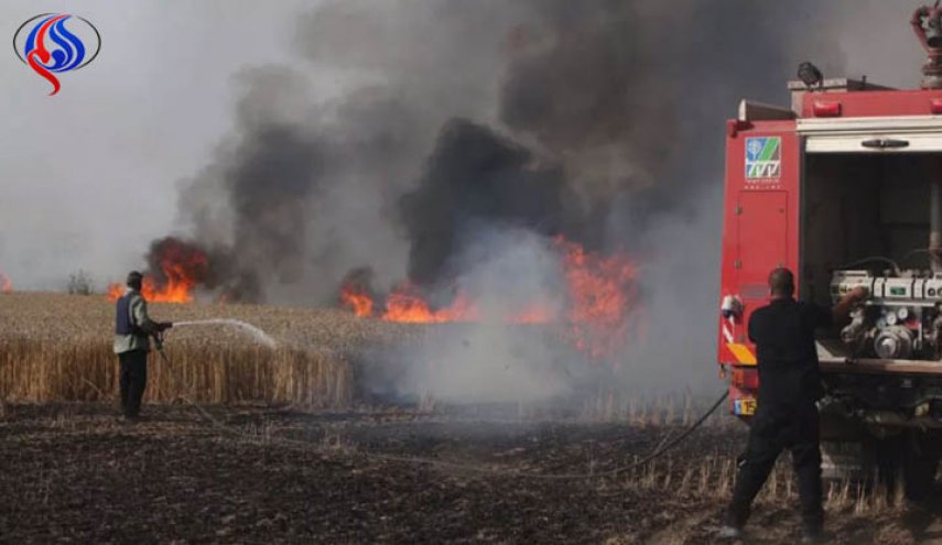 الطائرات الورقية الحارقة تشعل الحدود على تخوم غزة