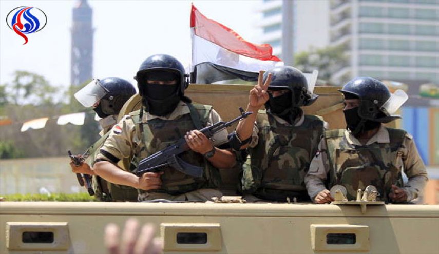 القاهرة توضح تصريحات شكري بخصوص إرسال قوات إلى سوريا