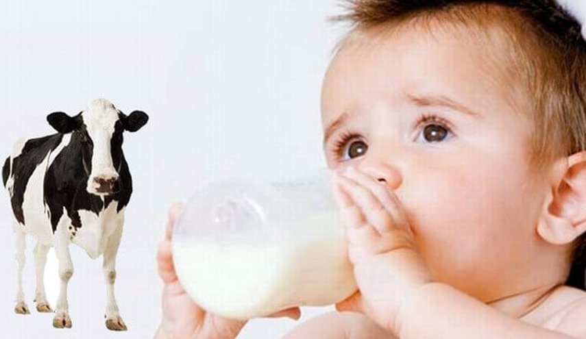 ما هو الحل لإصابة الرضيع بحساسية حليب الأبقار؟