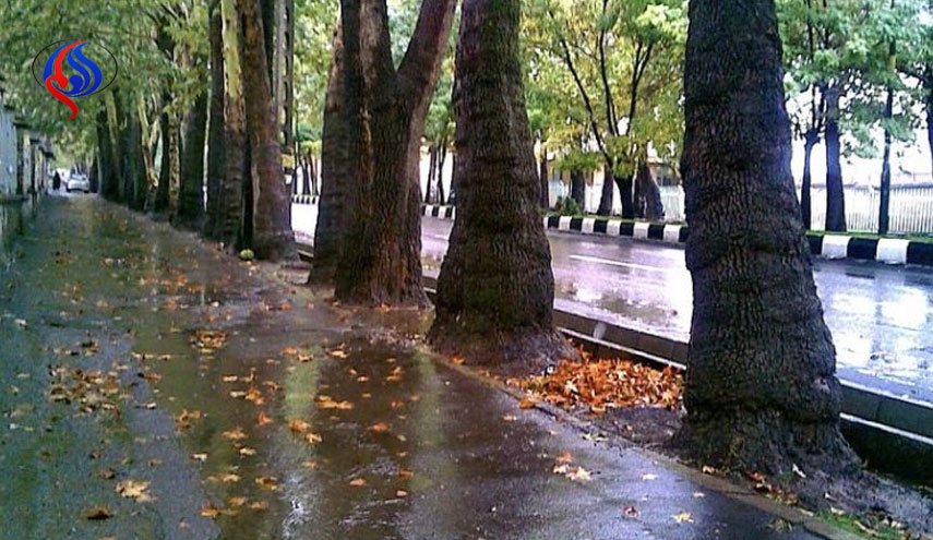 تهران بعد از ظهر بارانی می شود/ پیش بینی رگبار باران، صاعقه و وزش باد سراسری تا چهارشنبه
