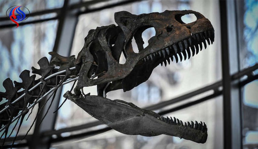 بيع بقايا نادرة لديناصور بمليوني يورو في باريس
