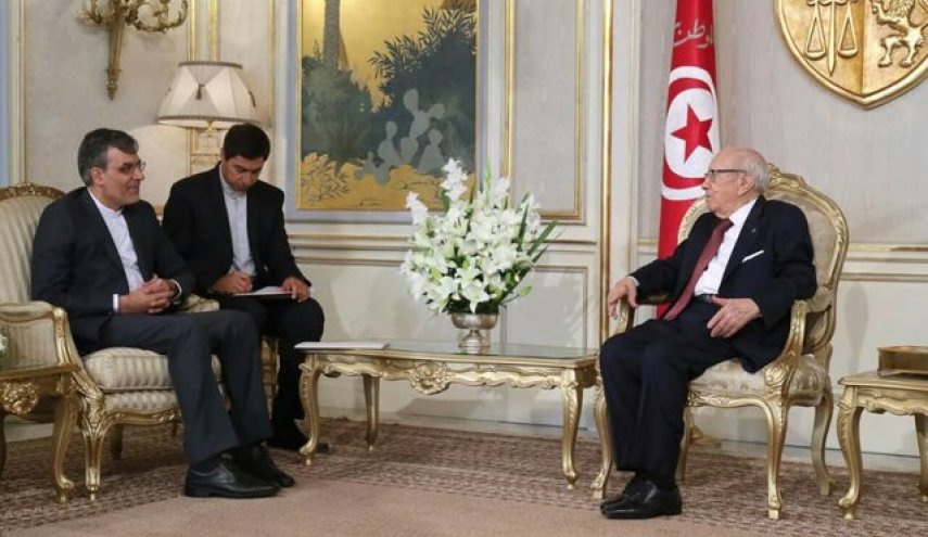 جابری انصاری با رئیس جمهوری تونس دیدار کرد