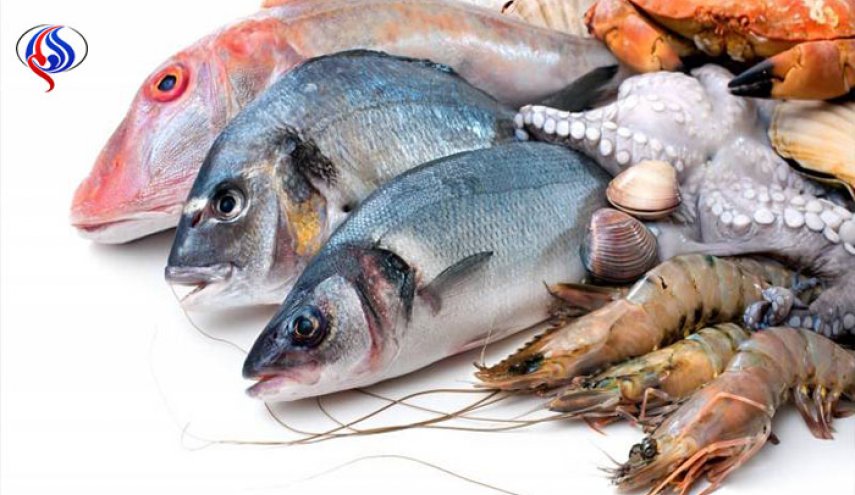تعرفوا على أكثر 6 أنواع سمك مفيدة للصحة !