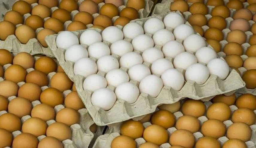 ما الفرق بين البيض البني والأبيض؟
