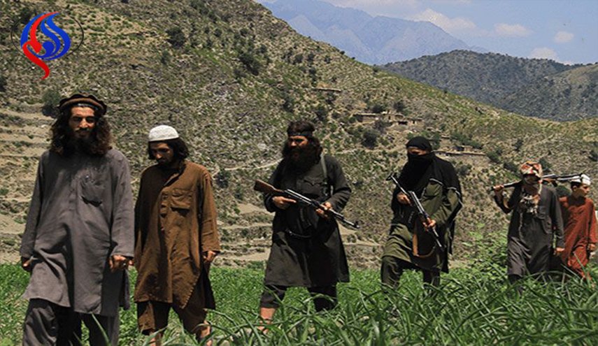 مسؤول أفغاني: من الممكن منح عفو لمسلحي داعش الذين استسلموا