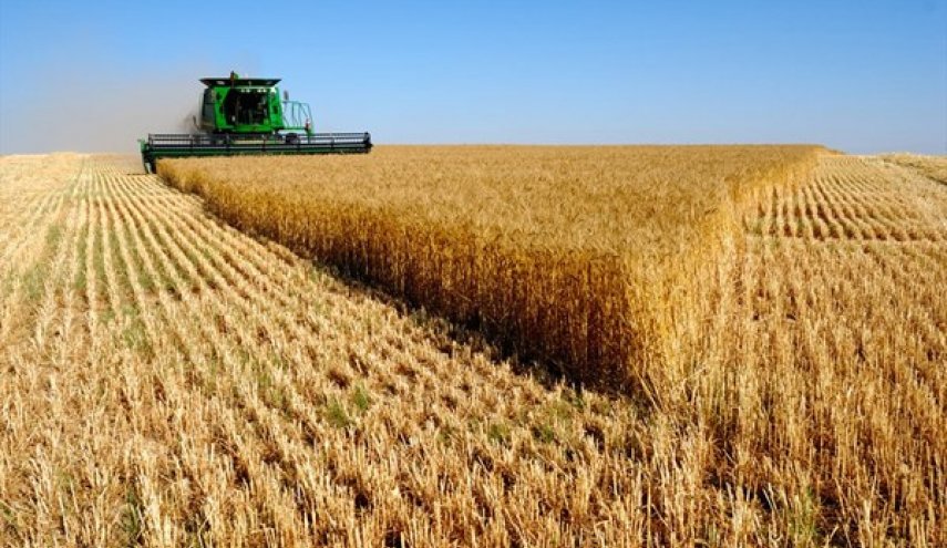 مشتريات ايران من القمح المحلي تتخطى 9 ملايين طن