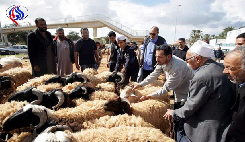 الحكومة الليبية المؤقتة تنفي تلقيها أضاحي العيد من قطر