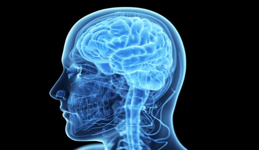 اكتشاف خلية “فريدة” بالمخ تميز الإنسان عن باقي الكائنات