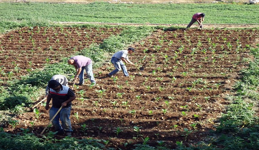 الجزائر: بعد 3 سنوات سنوقف استيراد المنتجات الزراعية