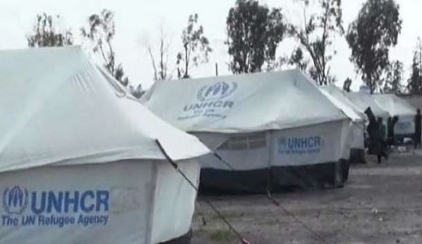 تأکید اردن بر برچیده شدن اردوگاه آوارگان سوری«الرکبان»
