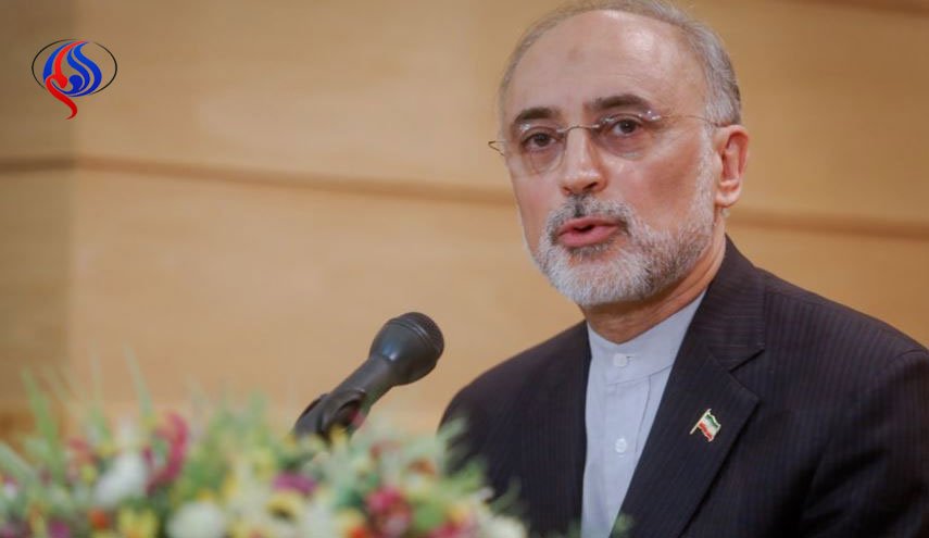 صالحی: دستاوردهای ایران با وجود تحریم ها دنیا را مبهوت کرده است