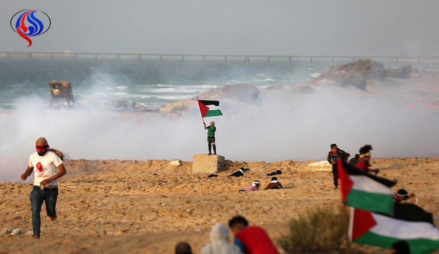 غدا.. استئناف المسير البحري على شواطئ غزة