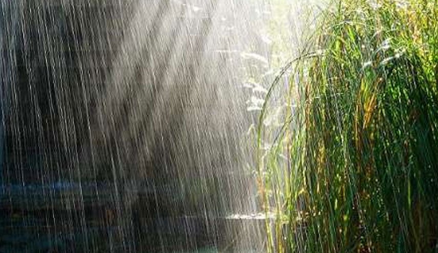ایران میزبان بارش زیبای باران / ۳ روز بارانی پیش روی کشور