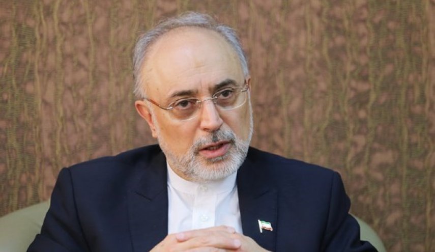 صالحی: ایران در همه زمینه‌های هسته‌ای قادر به «طراحی» است/ توانایی غنی‌سازی اورانیوم در هر سطح بالایی را داریم