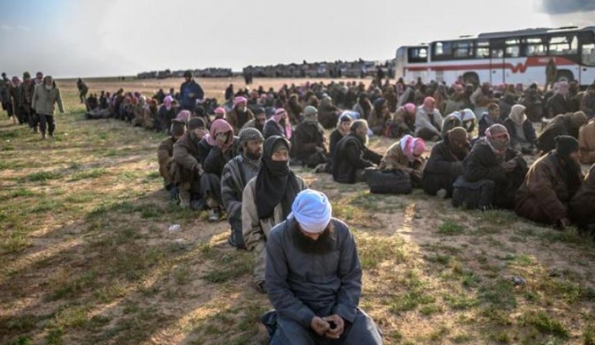 قسد:500 نفر مناطق تحت کنترل داعش را ترک کردند