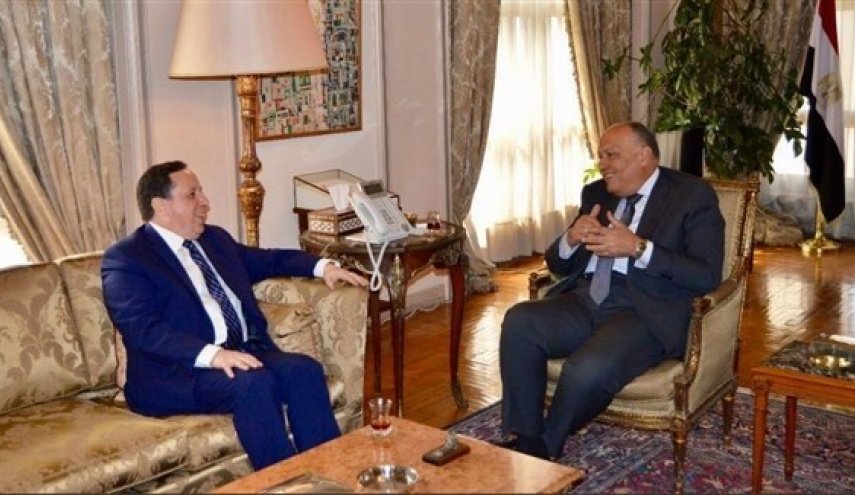 وزيرا خارجية مصر وتونس يؤكدان أهمية تعزيز العمل العربي 