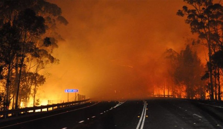 حرائق الغابات في أستراليا تدمر أكثر من 30 منزلا و100 ألف هكتار
