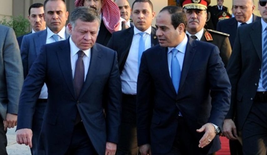 السيسى وملك الأردن يتفقان على ضرورة التسوية في سوريا 