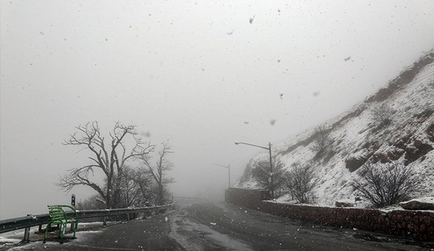 بارش زیبای برف بهاری در سنندج به روایت تصویر