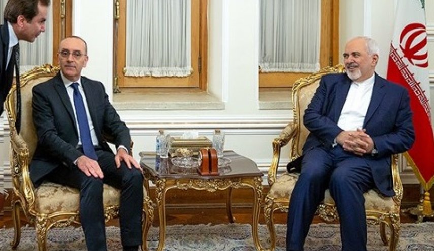ظریف با رئیس کمیسیون سیاست خارجی و مهاجرت مجلس سنای ایتالیا دیدار کرد